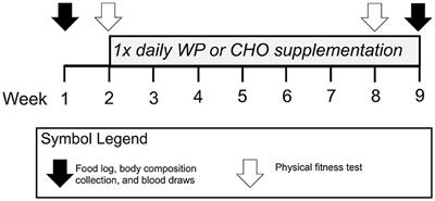 Whey Protein Supplementation Effects on Body Composition, Performance, and Blood Biomarkers During Army Initial Entry Training